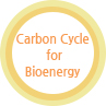 Carbon Cycle for Bioenergy