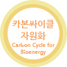 īŬڿȭ Carbon Cycle for Bioenergy